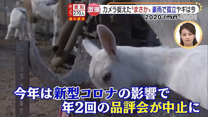 圖片24 圖片24