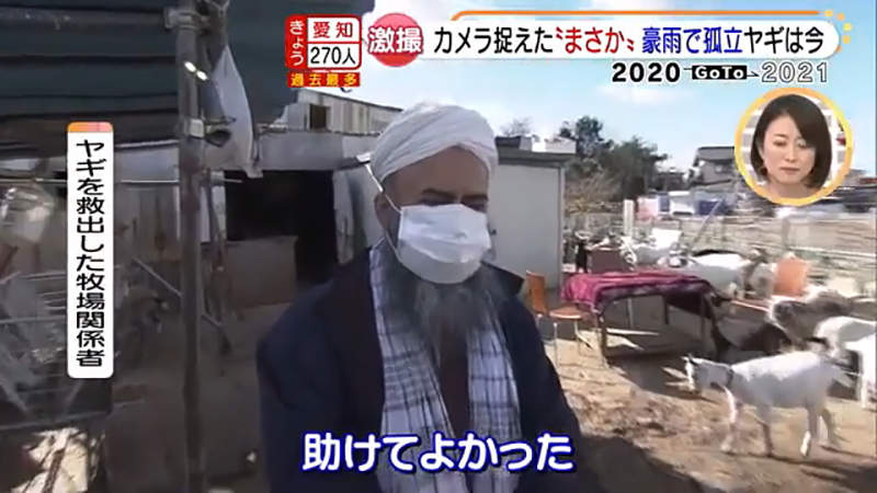 圖片25 圖片25