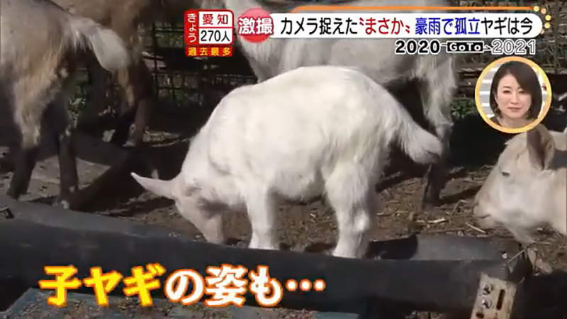 圖片18 圖片18