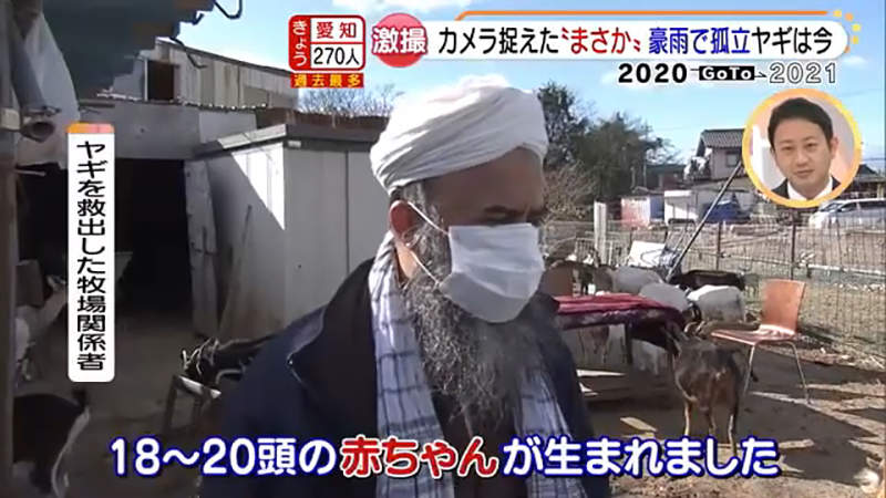 圖片19 圖片19