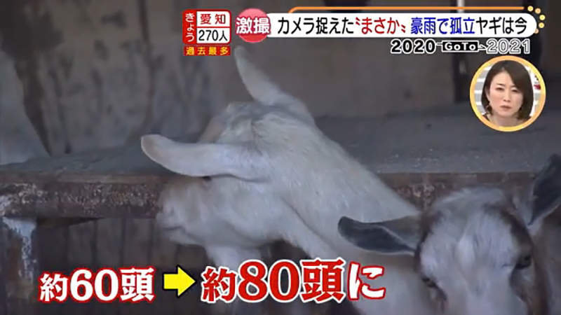 圖片20 圖片20
