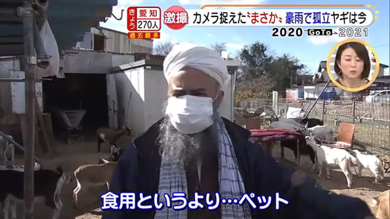 圖片21 圖片21
