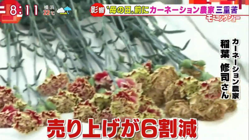 圖片9 圖片9