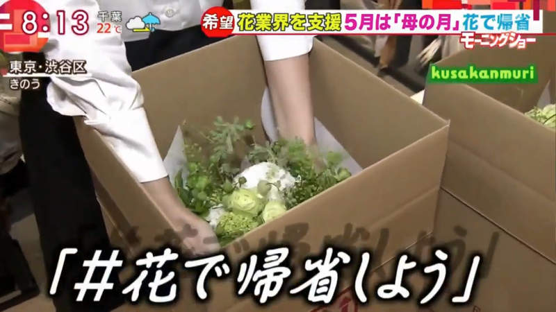 圖片10 圖片10