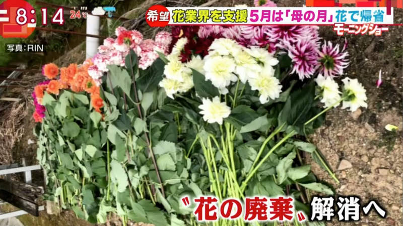 圖片14 圖片14
