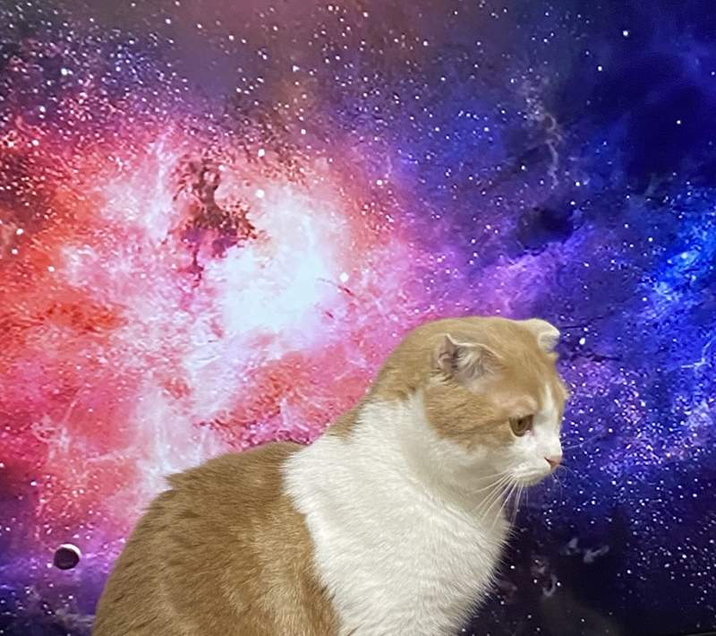 圖片5 圖片5