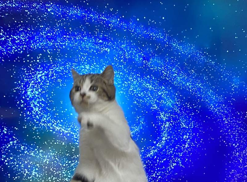 圖片8 圖片8
