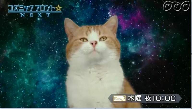 圖片13 圖片13