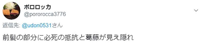 圖片11 圖片11