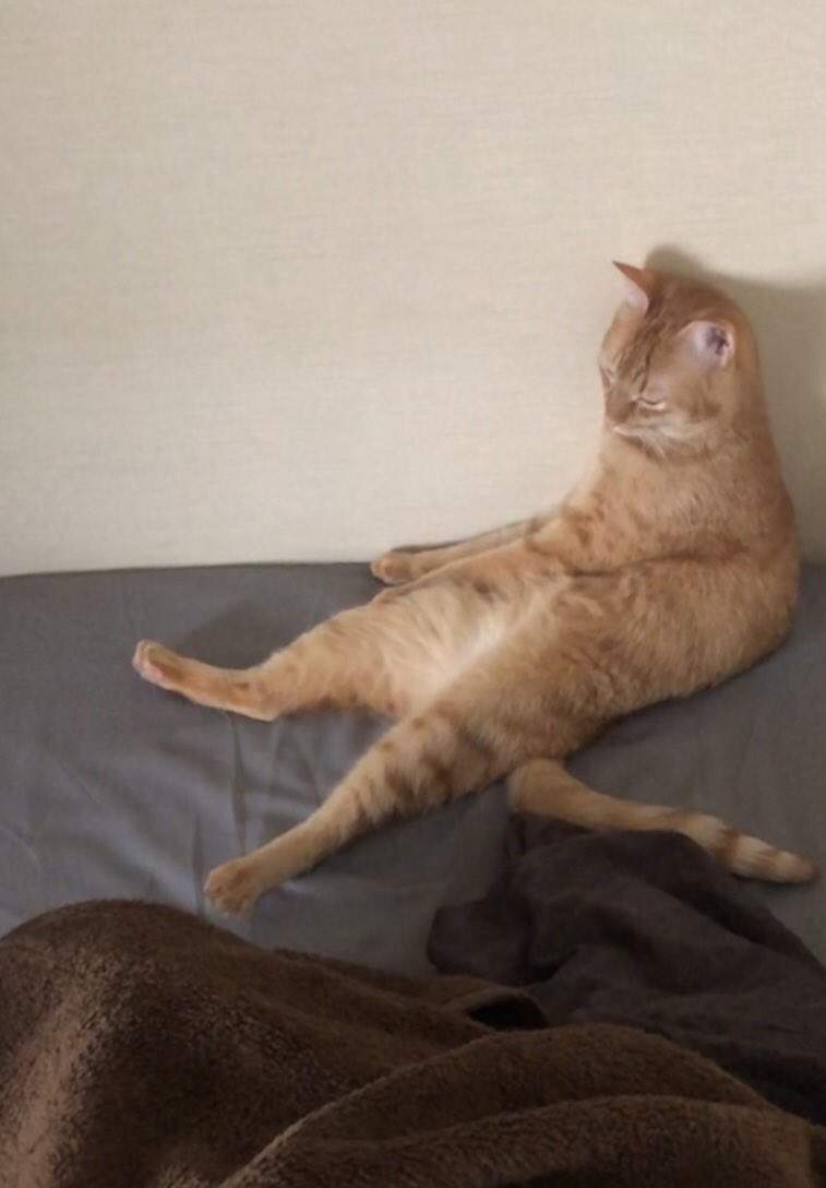 圖片5 圖片5