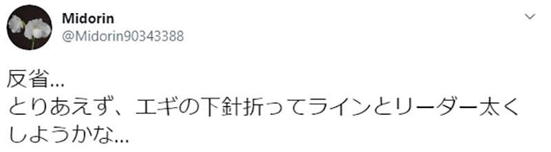 圖片8 圖片8