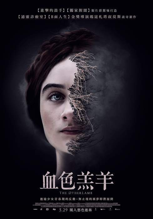 圖片9 圖片9