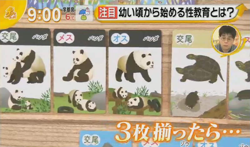 圖片15 圖片15