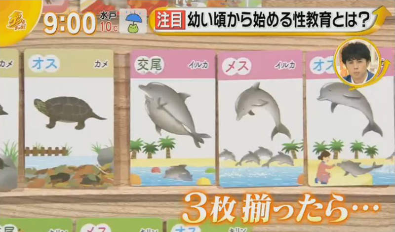 圖片16 圖片16