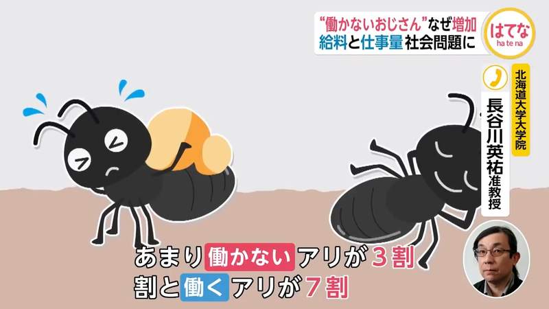 圖片16 圖片16