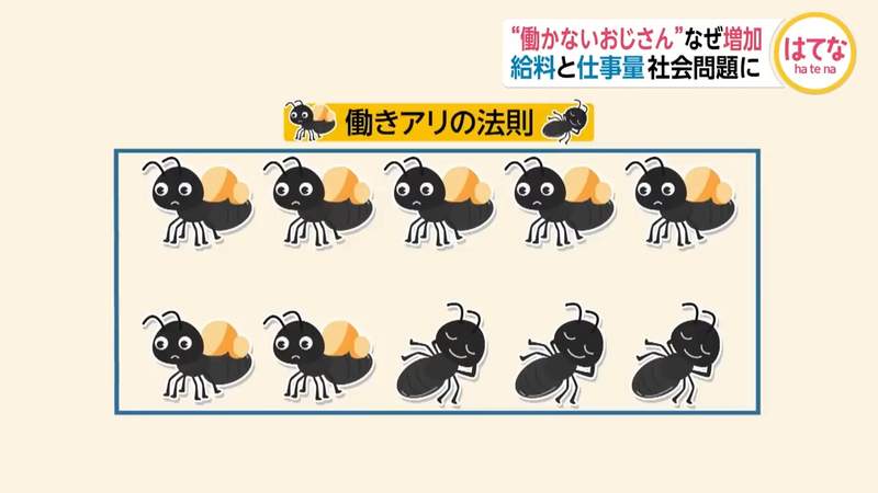 圖片17 圖片17