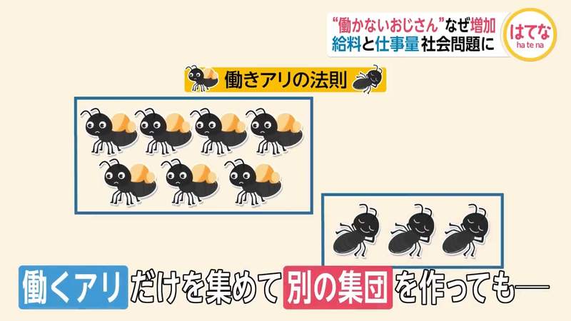 圖片18 圖片18