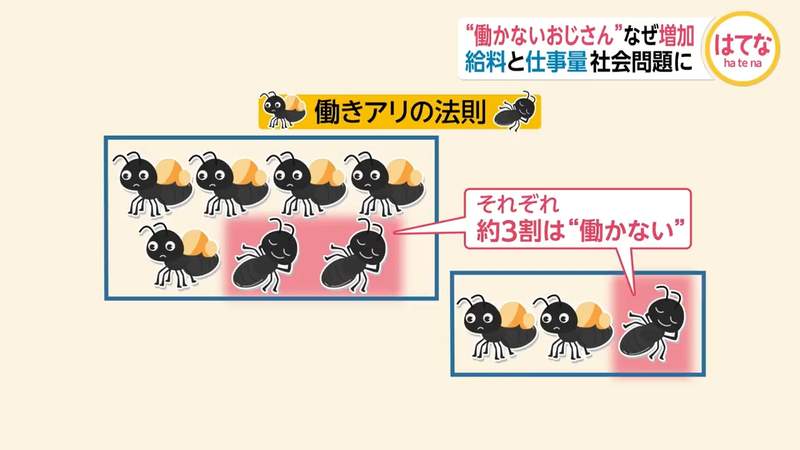 圖片19 圖片19