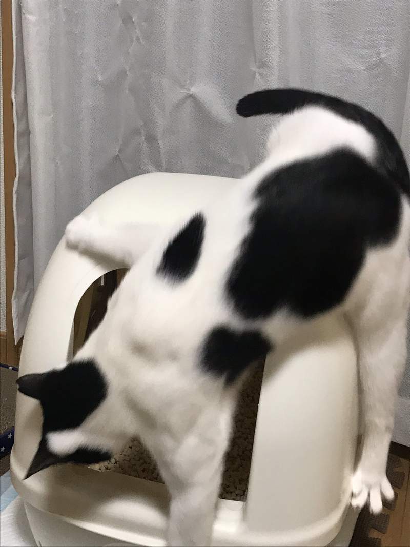 圖片7 圖片7