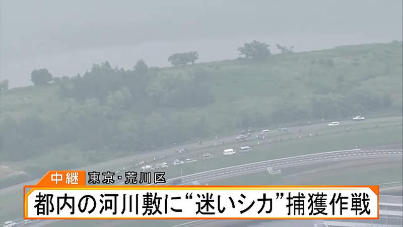 圖片11 圖片11