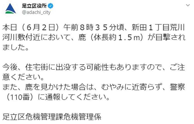 圖片12 圖片12