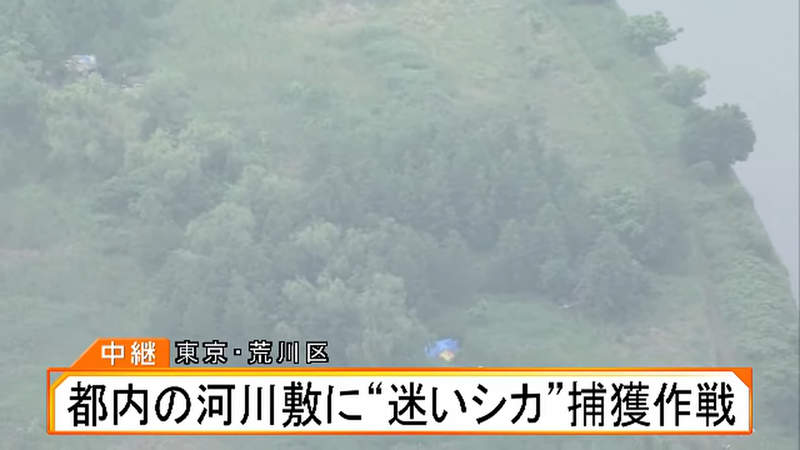 圖片10 圖片10