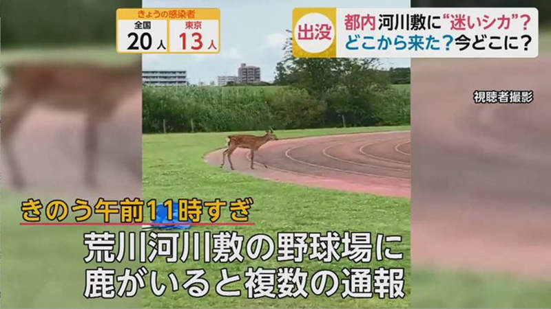 圖片7 圖片7