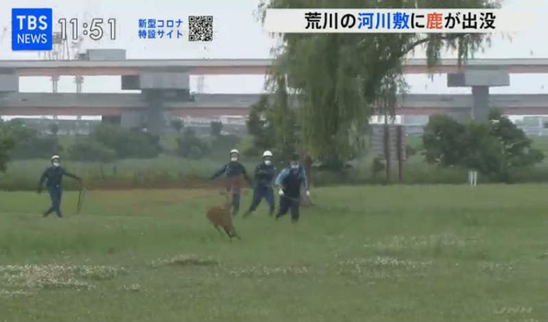 圖片16 圖片16