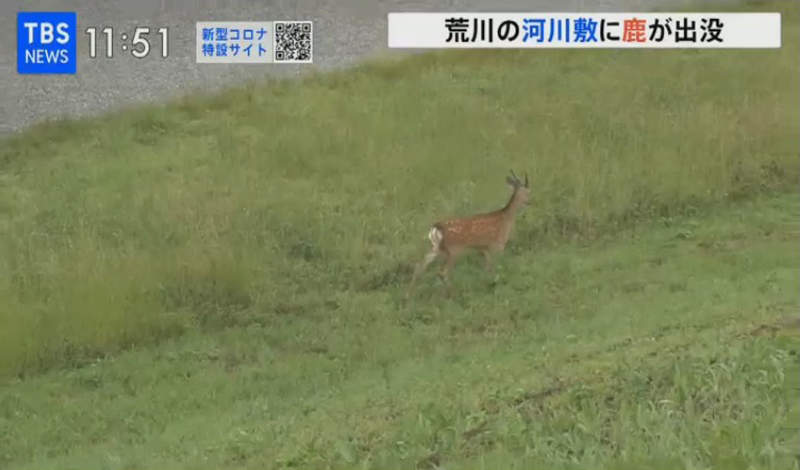 圖片13 圖片13