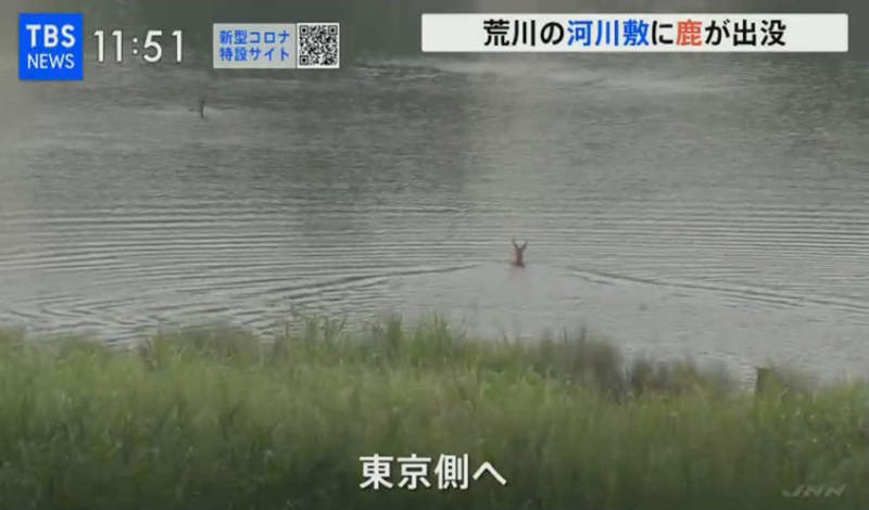 圖片14 圖片14