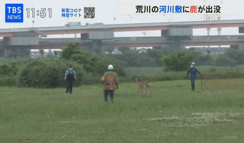 圖片15 圖片15