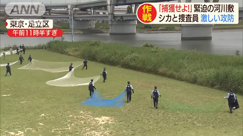 圖片18 圖片18