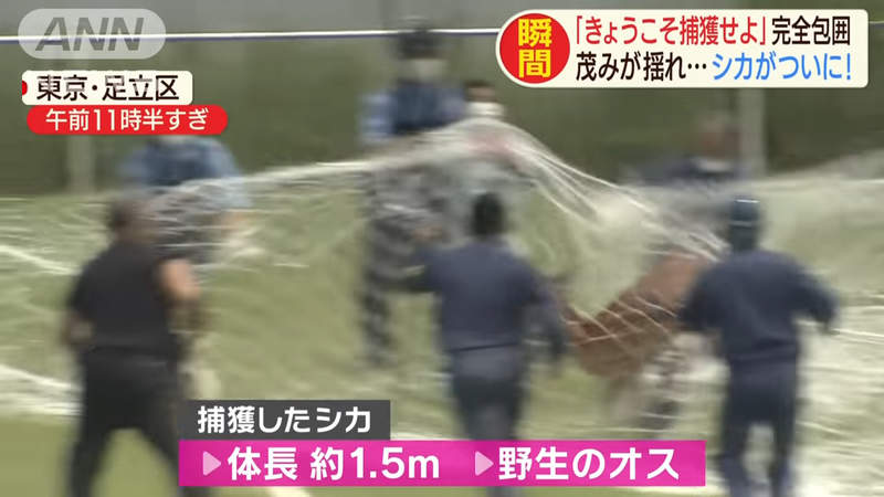 圖片19 圖片19