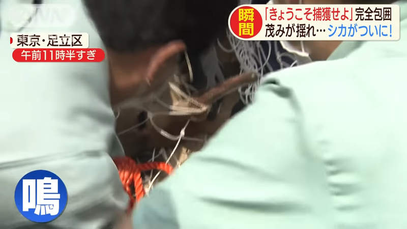 圖片20 圖片20