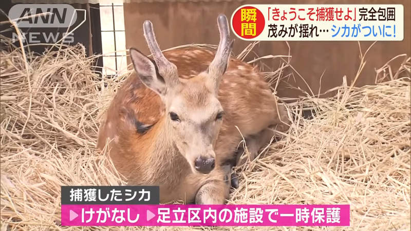 圖片21 圖片21
