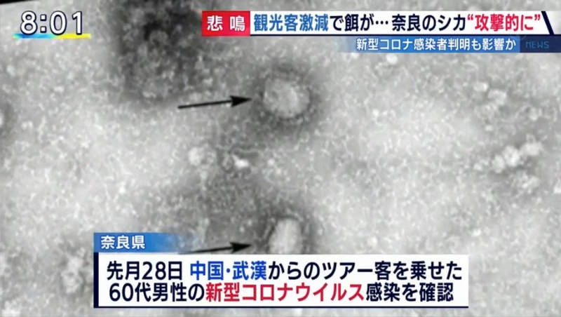 圖片31 圖片31