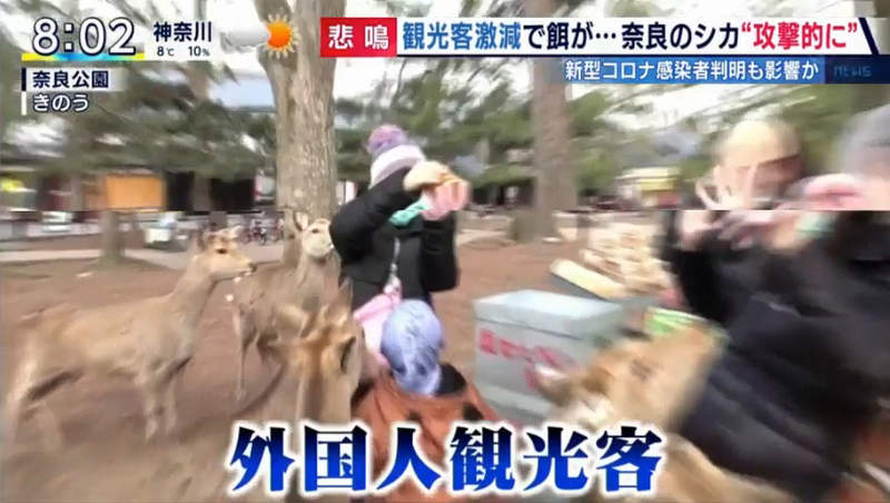 圖片36 圖片36