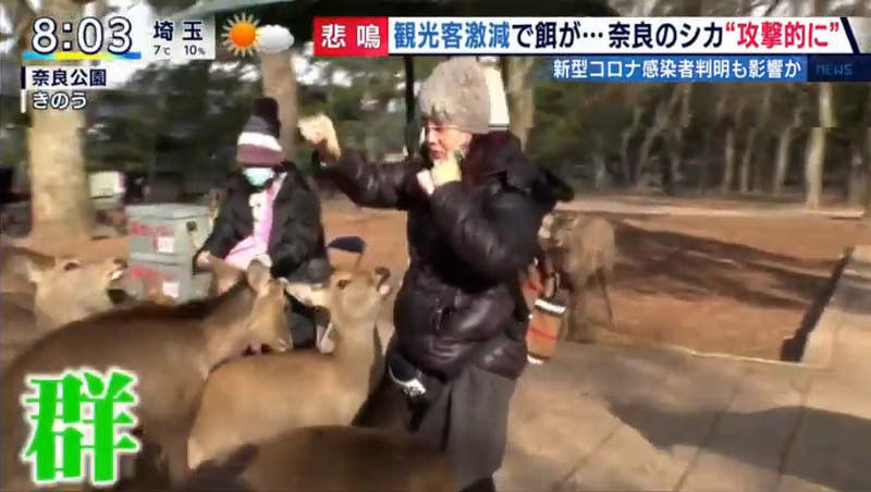 圖片37 圖片37