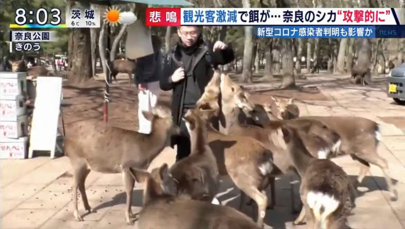 圖片38 圖片38