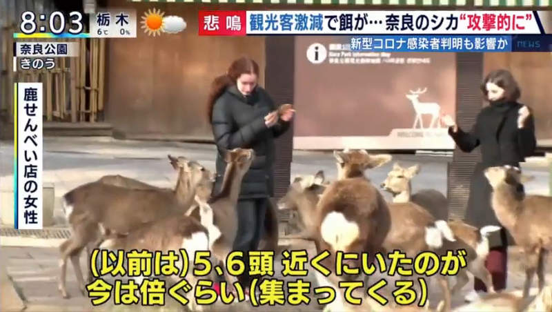 圖片39 圖片39