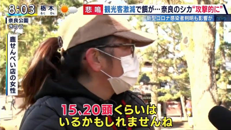 圖片40 圖片40