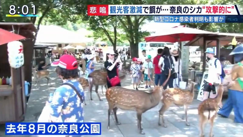 圖片29 圖片29