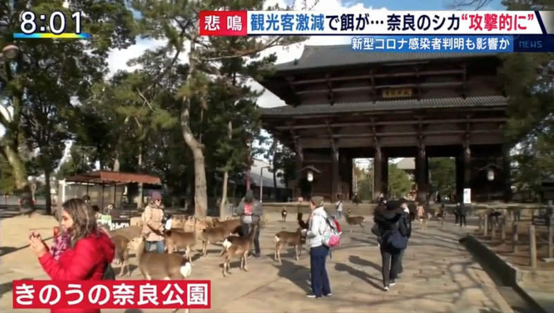 圖片30 圖片30