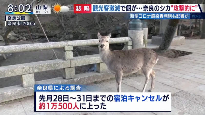 圖片32 圖片32