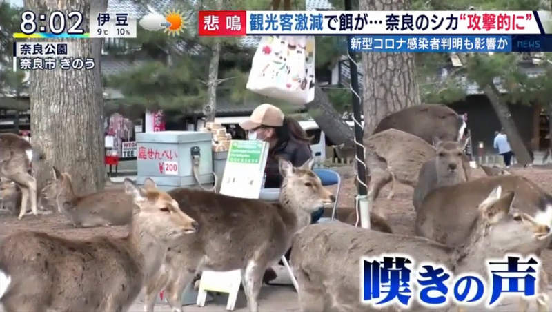 圖片34 圖片34