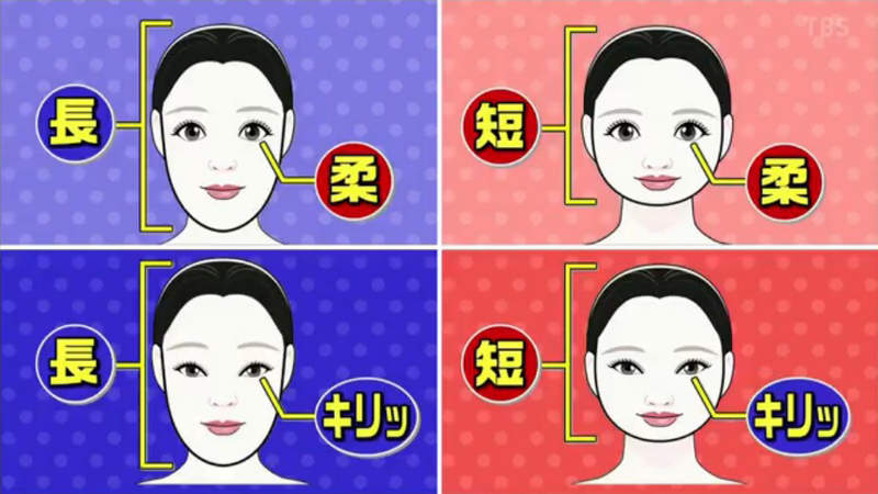 圖片11 圖片11
