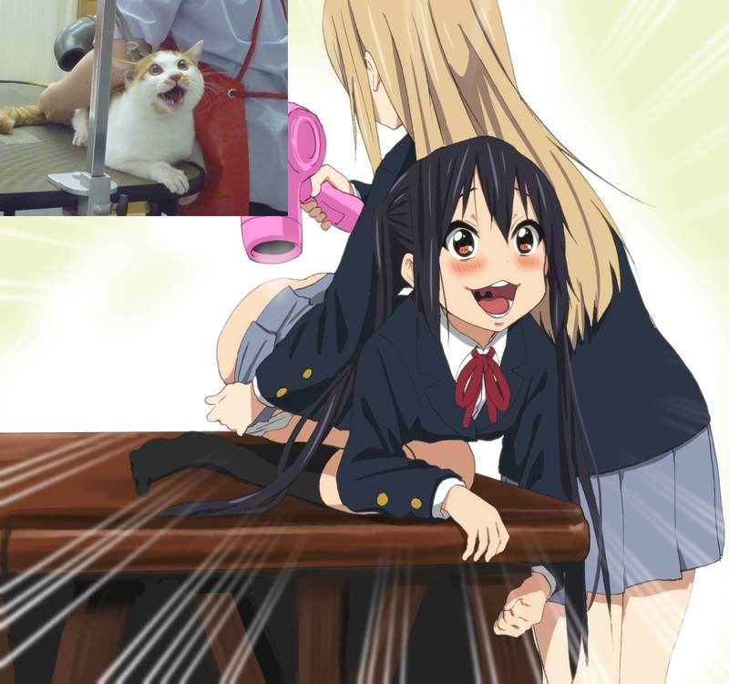 圖片7 圖片7