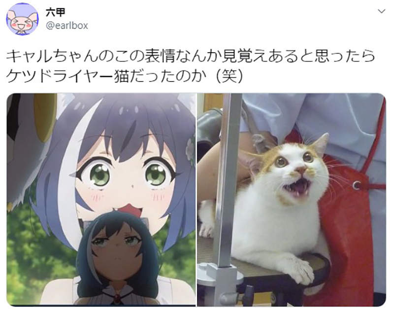 圖片11 圖片11