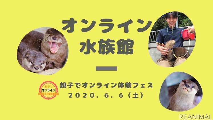 圖片6 圖片6