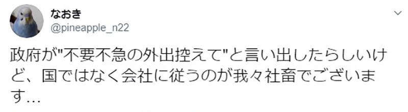 圖片5 圖片5